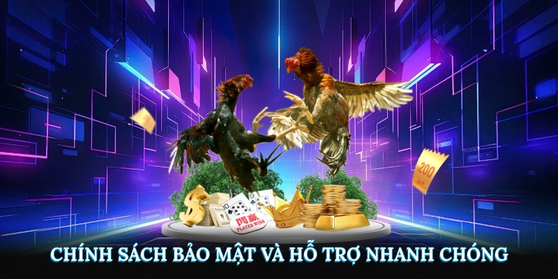 Chính sách bảo mật và hỗ trợ nhanh chóng