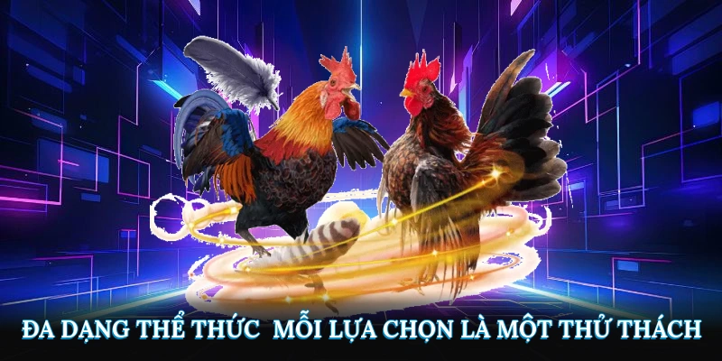 Đa dạng thể thức - Mỗi lựa chọn là một thử thách