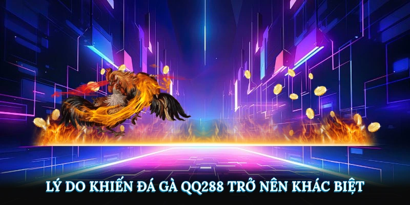 Lý do khiến đá gà QQ288 trở nên khác biệt